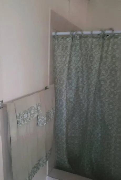 Cataliyah'S Cottage Basseterre Apartment